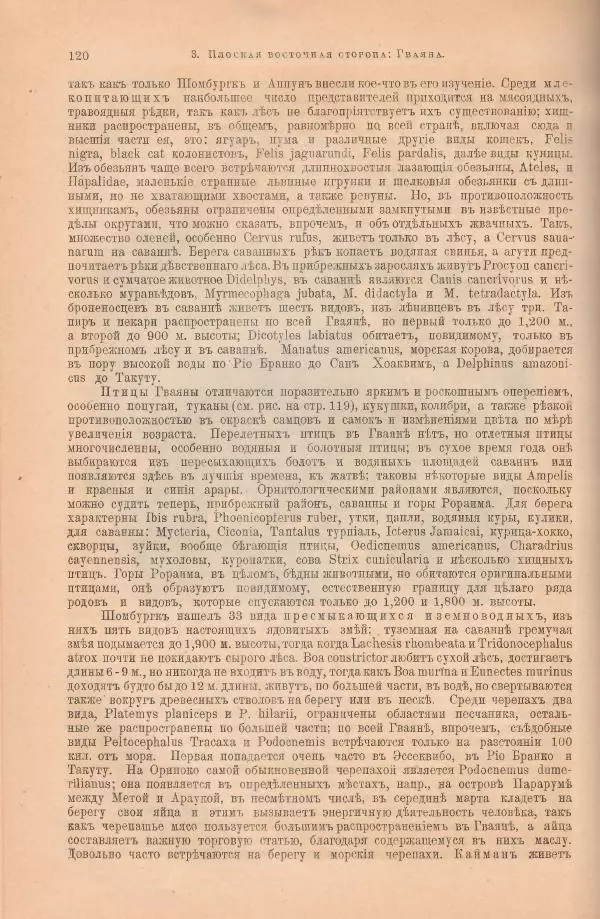 Вильгельм Сиверс - Южная и Средняя Америка - Страница № 162