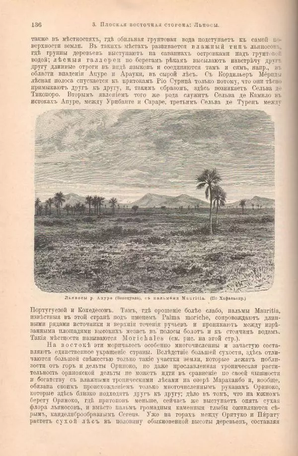 Вильгельм Сиверс - Южная и Средняя Америка - Страница № 180
