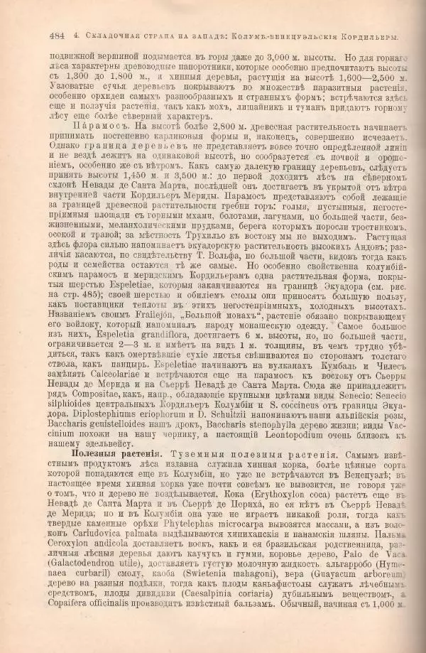 Вильгельм Сиверс - Южная и Средняя Америка - Страница № 560
