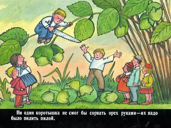 Николай Носов - Коротышки из Цветочного города - Страница № 9