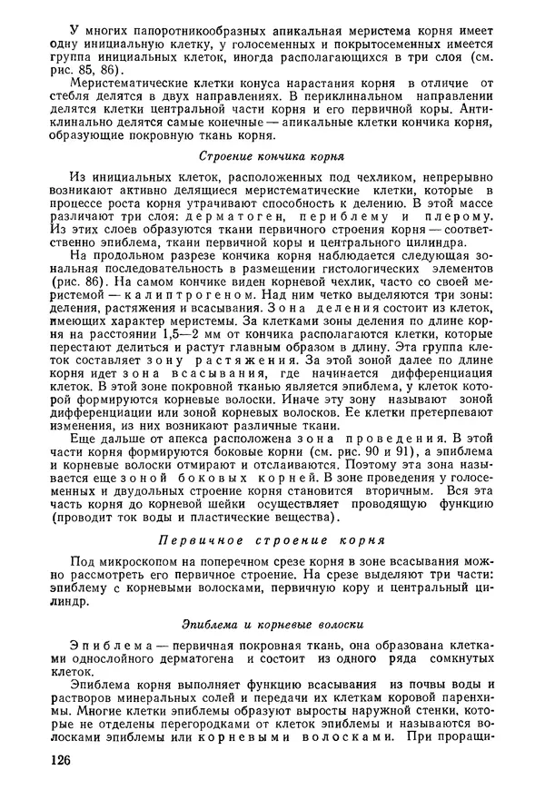 Валида Тутаюк - Анатомия и морфология растений : Учебное пособие для сельскохозяйственных вузов  - Страница № 128