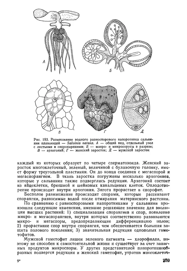 Валида Тутаюк - Анатомия и морфология растений : Учебное пособие для сельскохозяйственных вузов  - Страница № 261