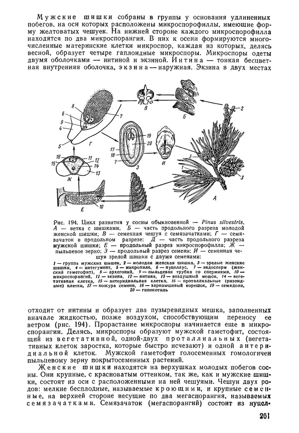 Валида Тутаюк - Анатомия и морфология растений : Учебное пособие для сельскохозяйственных вузов  - Страница № 263