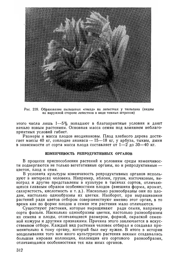Валида Тутаюк - Анатомия и морфология растений : Учебное пособие для сельскохозяйственных вузов  - Страница № 314