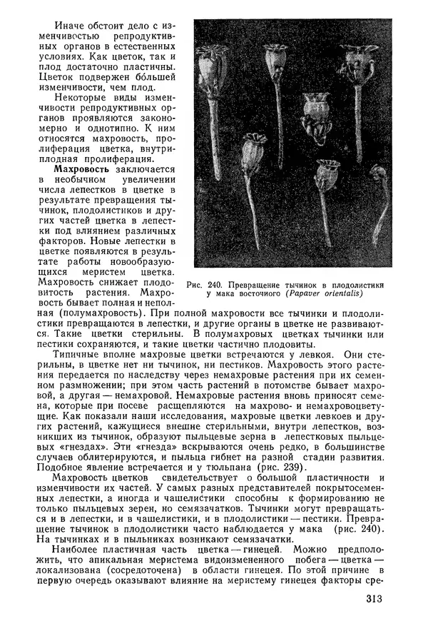 Валида Тутаюк - Анатомия и морфология растений : Учебное пособие для сельскохозяйственных вузов  - Страница № 315