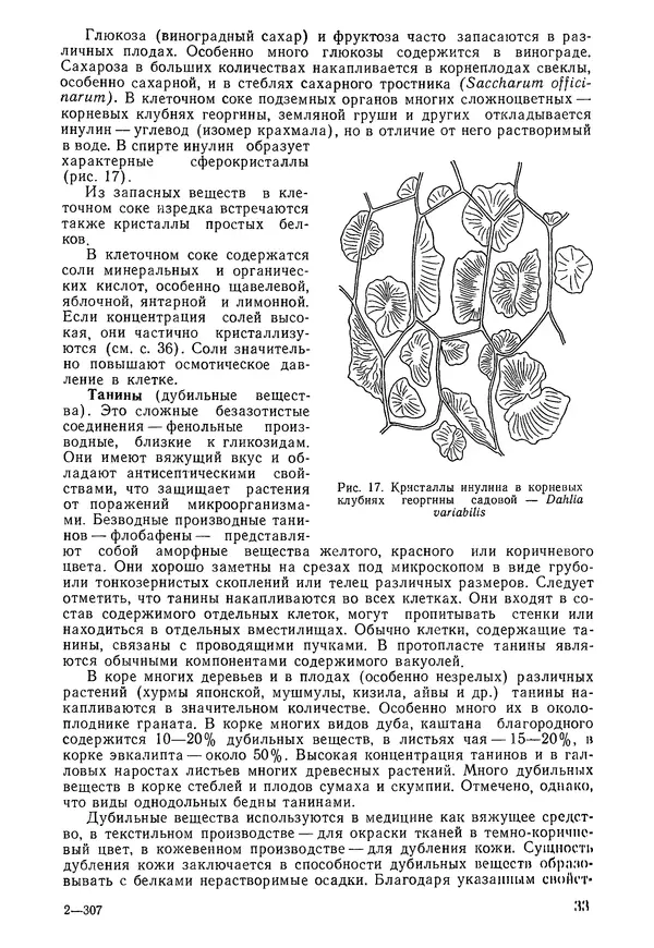 Валида Тутаюк - Анатомия и морфология растений : Учебное пособие для сельскохозяйственных вузов  - Страница № 35