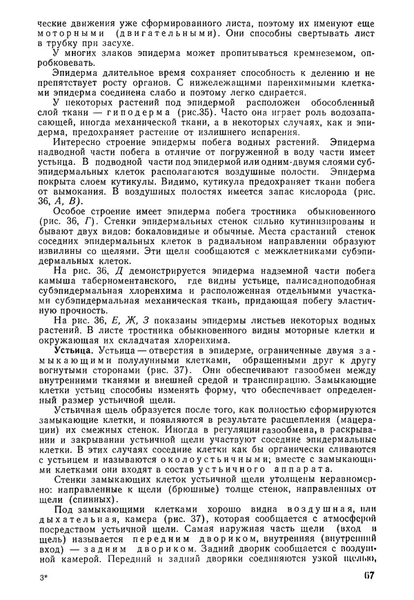 Валида Тутаюк - Анатомия и морфология растений : Учебное пособие для сельскохозяйственных вузов  - Страница № 69