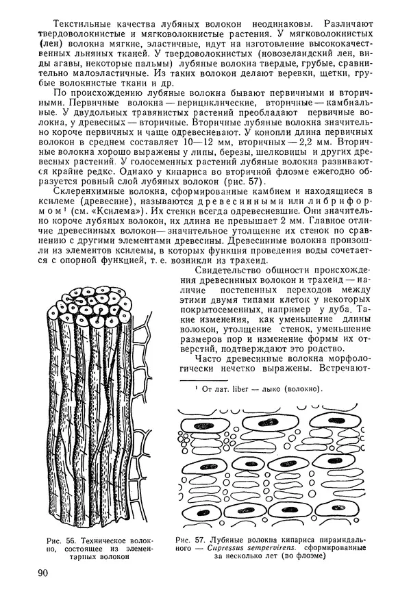 Валида Тутаюк - Анатомия и морфология растений : Учебное пособие для сельскохозяйственных вузов  - Страница № 92