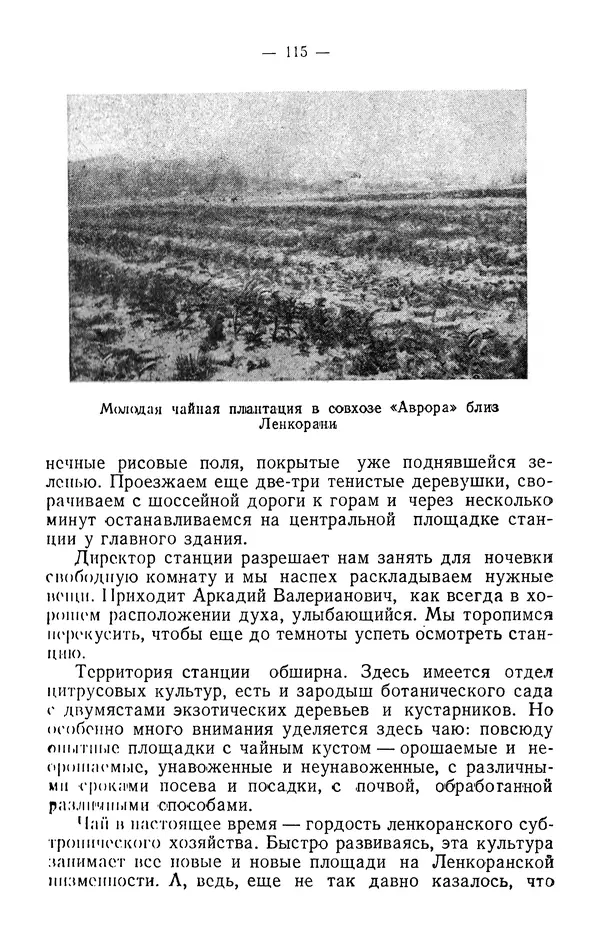 Александр Гроссгейм - В горах Талыша - Страница № 117