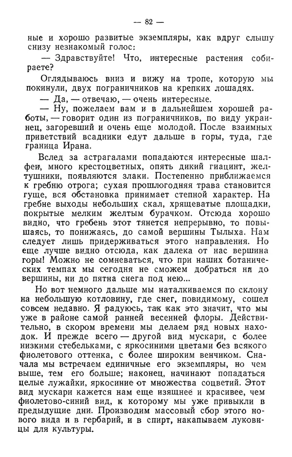Александр Гроссгейм - В горах Талыша - Страница № 84