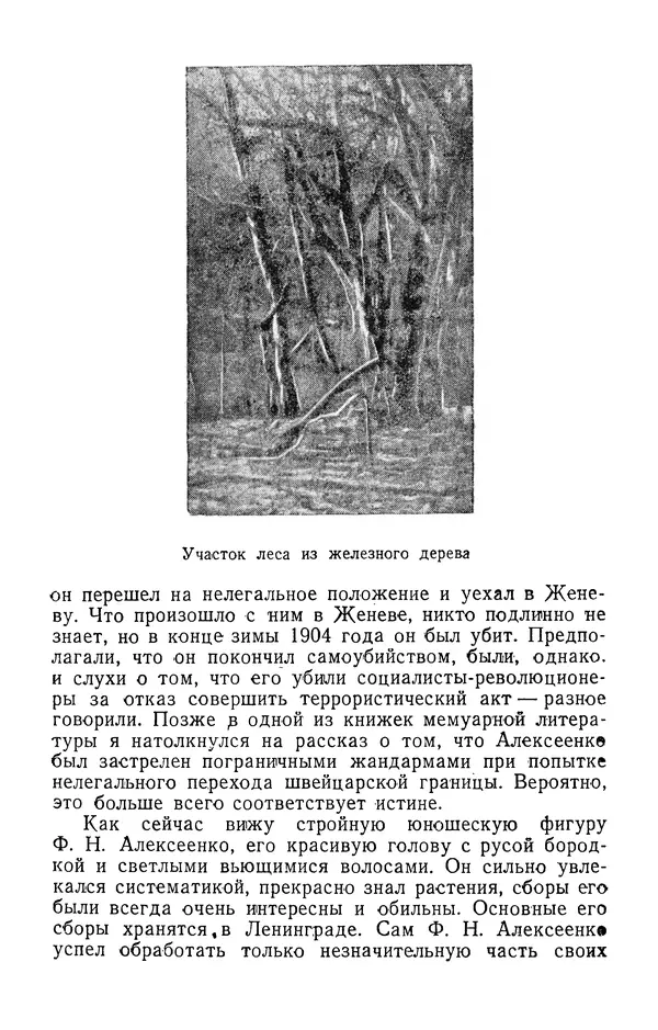 Александр Гроссгейм - В горах Талыша - Страница № 95