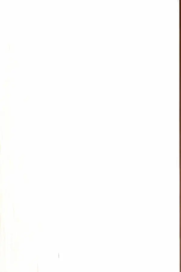 Михаил Глинка - Уголовно-бульварный роман - Страница № 2