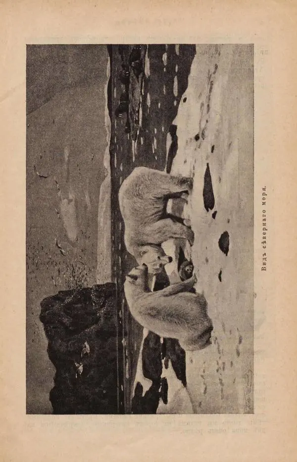 Жан Жак Элизе Реклю - Земля. Описание жизни земного шара в 12 томах, том 7 - Страница № 13