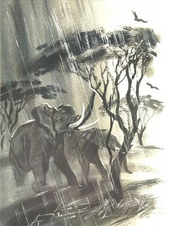 Святослав Сахарнов - Что я видел в Танзании - Страница № 21