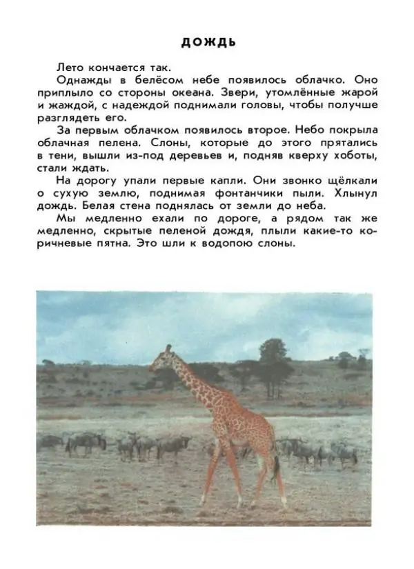 Святослав Сахарнов - Что я видел в Танзании - Страница № 22