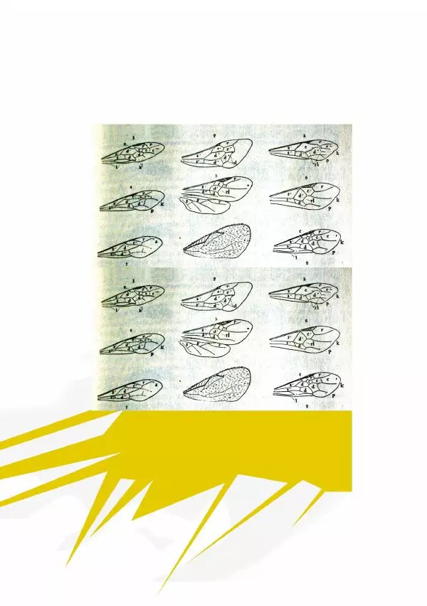 Мірек Боднар - Хороші вірші, погані вірші - Страница № 63