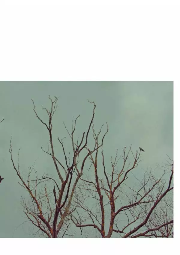 Мірек Боднар - Хороші вірші, погані вірші - Страница № 85