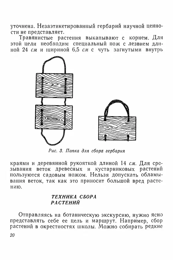 Евгения Иванова - Руководство по сбору, сушке и хранению растений (гербарий) - Страница № 20