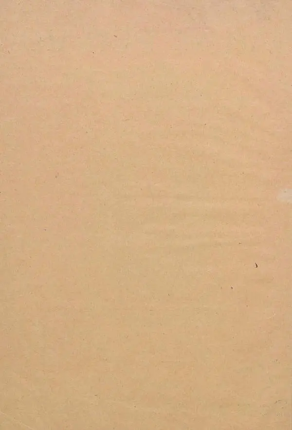 Жан Жак Элизе Реклю - Земля. Описание жизни земного шара в 12 томах, том 11 - Страница № 6