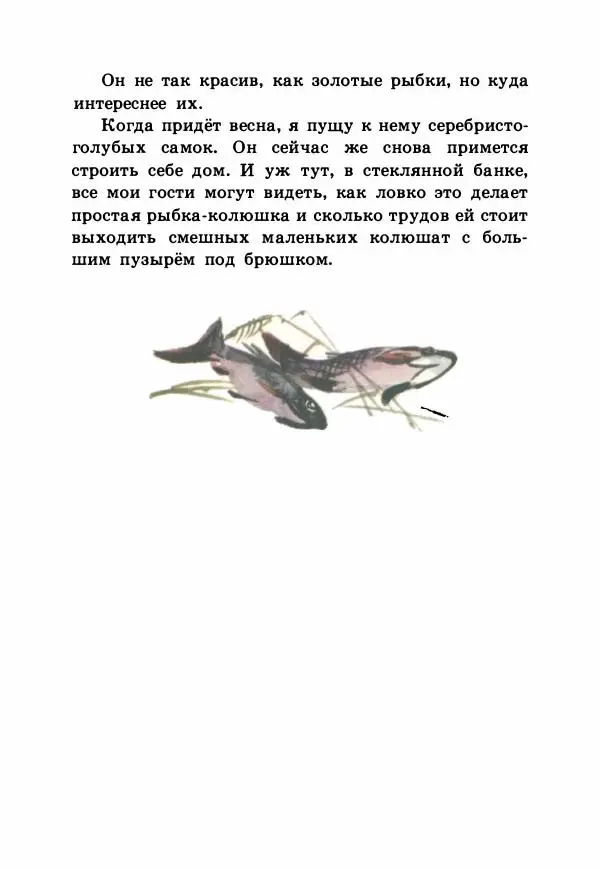 Виталий Бианки - Рассказы и сказки - Страница № 79