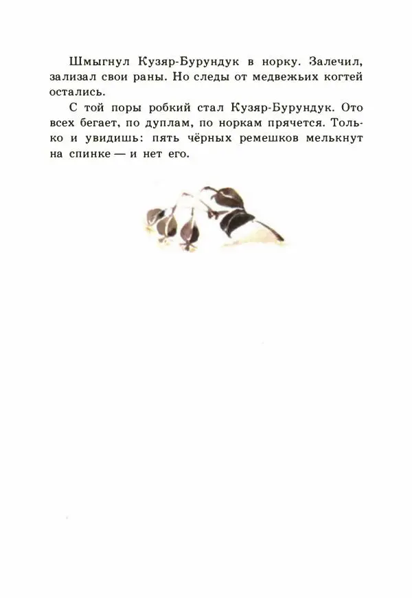 Виталий Бианки - Рассказы и сказки - Страница № 206