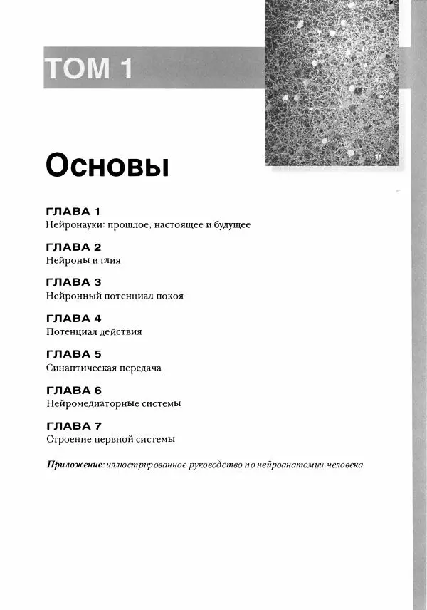 Марк Беар - Нейронауки. Исследование мозга. В 3-х томах. Том 1 - Страница № 26
