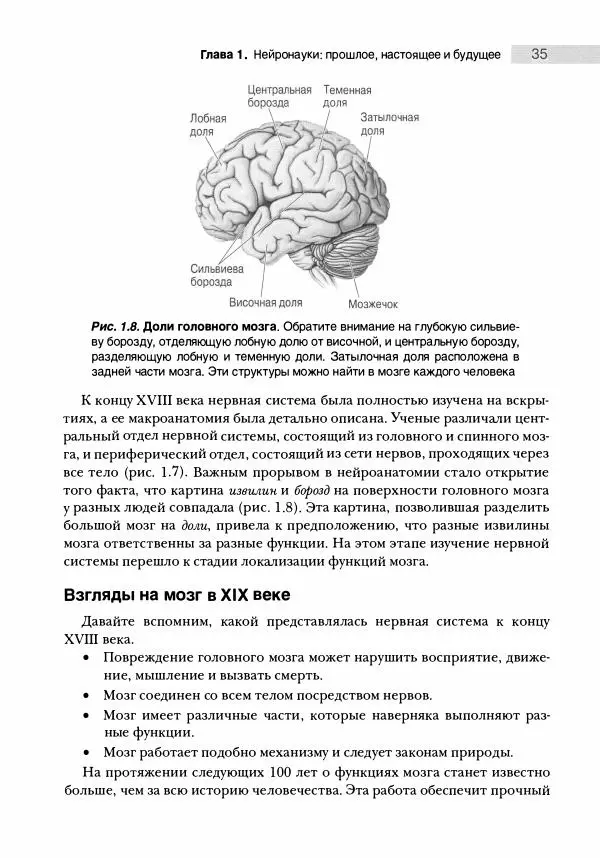 Марк Беар - Нейронауки. Исследование мозга. В 3-х томах. Том 1 - Страница № 36