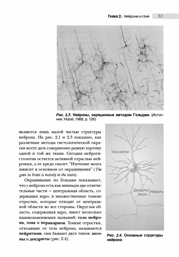 Марк Беар - Нейронауки. Исследование мозга. В 3-х томах. Том 1 - Страница № 62