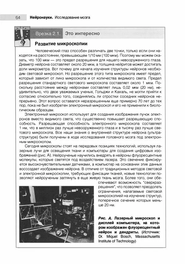 Марк Беар - Нейронауки. Исследование мозга. В 3-х томах. Том 1 - Страница № 65