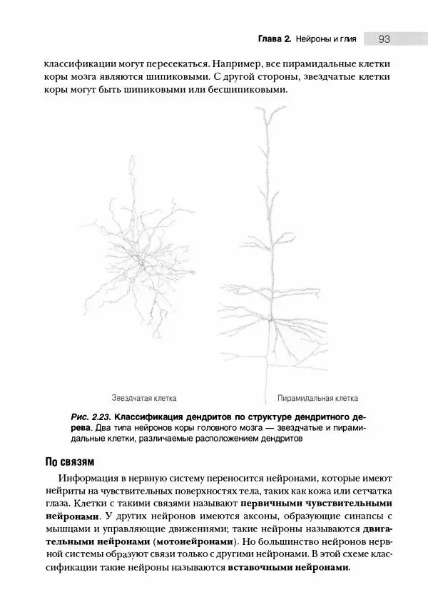 Марк Беар - Нейронауки. Исследование мозга. В 3-х томах. Том 1 - Страница № 94