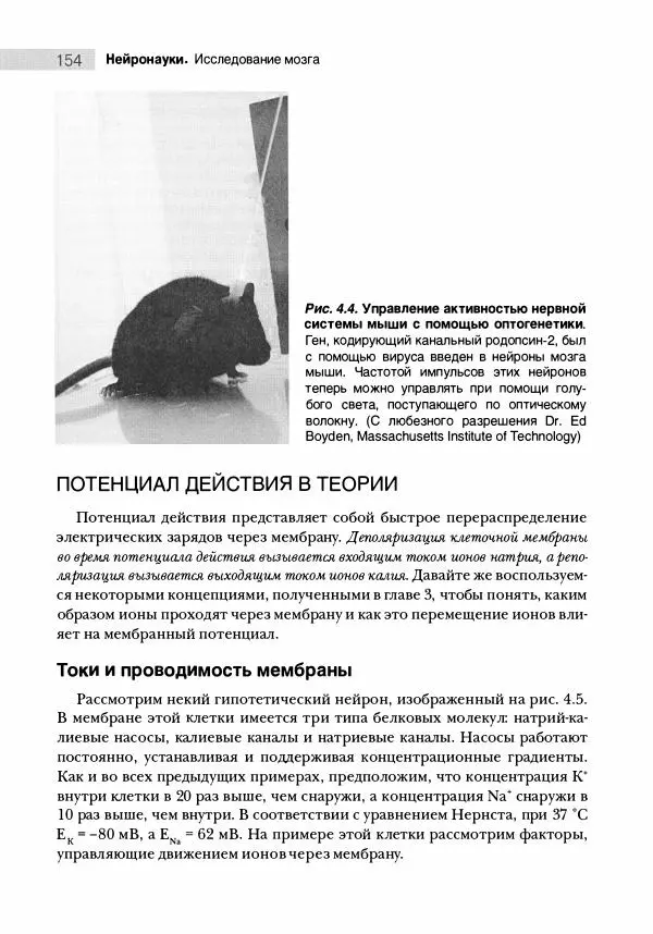 Марк Беар - Нейронауки. Исследование мозга. В 3-х томах. Том 1 - Страница № 155