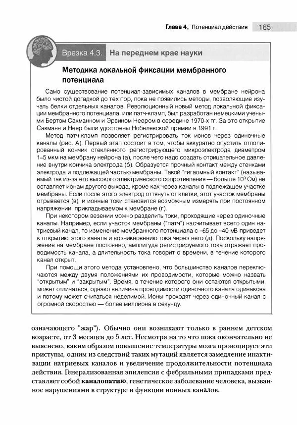 Марк Беар - Нейронауки. Исследование мозга. В 3-х томах. Том 1 - Страница № 166