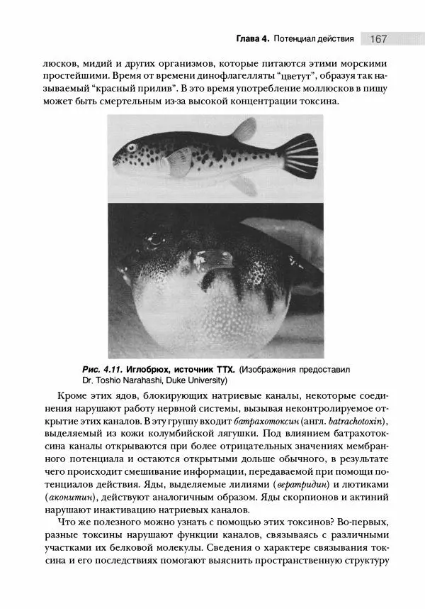 Марк Беар - Нейронауки. Исследование мозга. В 3-х томах. Том 1 - Страница № 168
