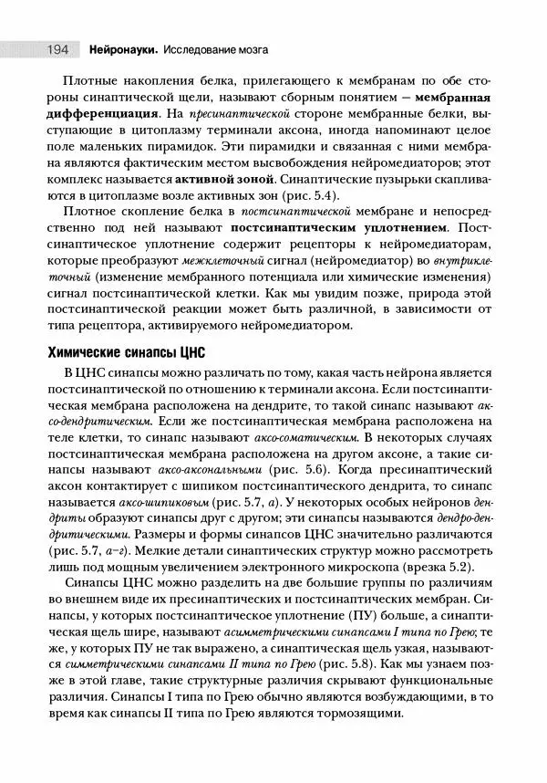 Марк Беар - Нейронауки. Исследование мозга. В 3-х томах. Том 1 - Страница № 195