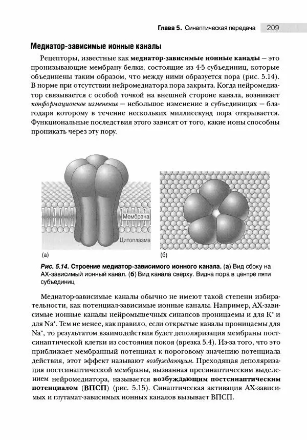 Марк Беар - Нейронауки. Исследование мозга. В 3-х томах. Том 1 - Страница № 210