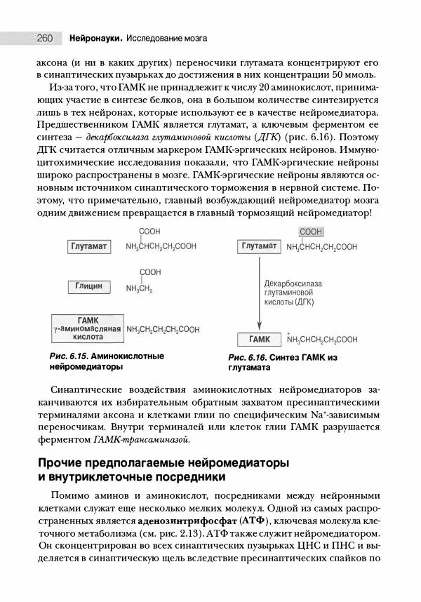 Марк Беар - Нейронауки. Исследование мозга. В 3-х томах. Том 1 - Страница № 261