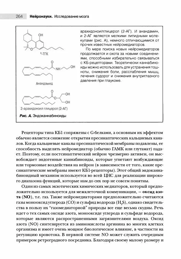 Марк Беар - Нейронауки. Исследование мозга. В 3-х томах. Том 1 - Страница № 265