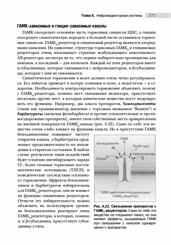 Марк Беар - Нейронауки. Исследование мозга. В 3-х томах. Том 1 - Страница № 274
