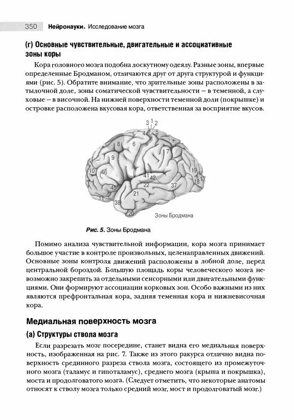 Марк Беар - Нейронауки. Исследование мозга. В 3-х томах. Том 1 - Страница № 351