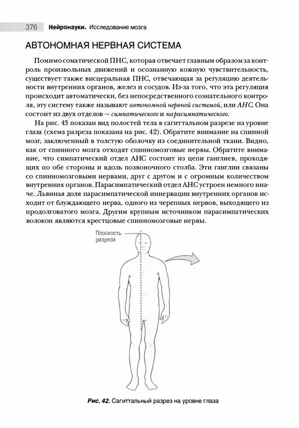 Марк Беар - Нейронауки. Исследование мозга. В 3-х томах. Том 1 - Страница № 377