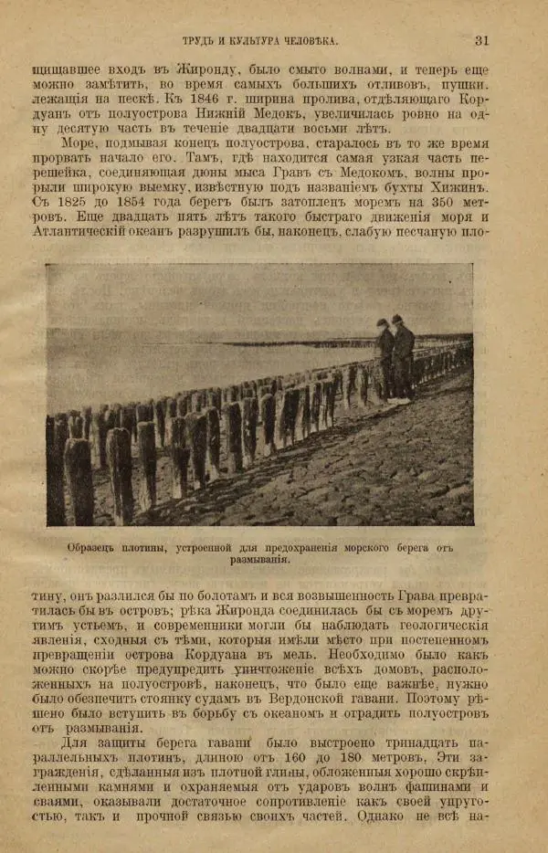 Жан Жак Элизе Реклю - Земля. Описание жизни земного шара в 12 томах, том 12 - Страница № 39