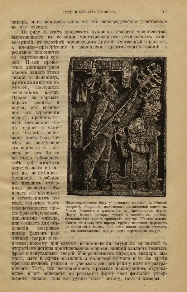 Жан Жак Элизе Реклю - Земля. Описание жизни земного шара в 12 томах, том 12 - Страница № 85