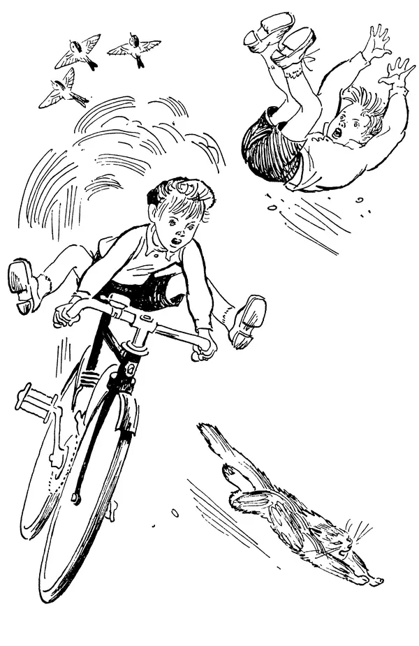 Виктор Драгунский - Избранное. Рассказы - Страница № 51