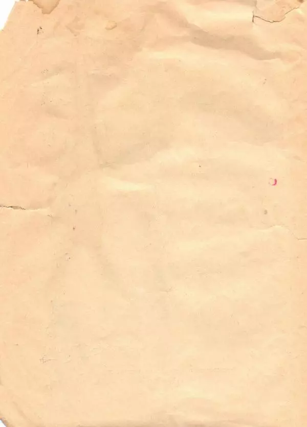 Михаил Федоров - Леший (Баллада) - Страница № 4