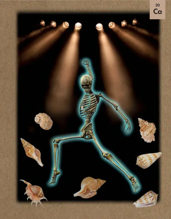 Эрик Сцерри - Химия за 30 секунд - Страница № 27