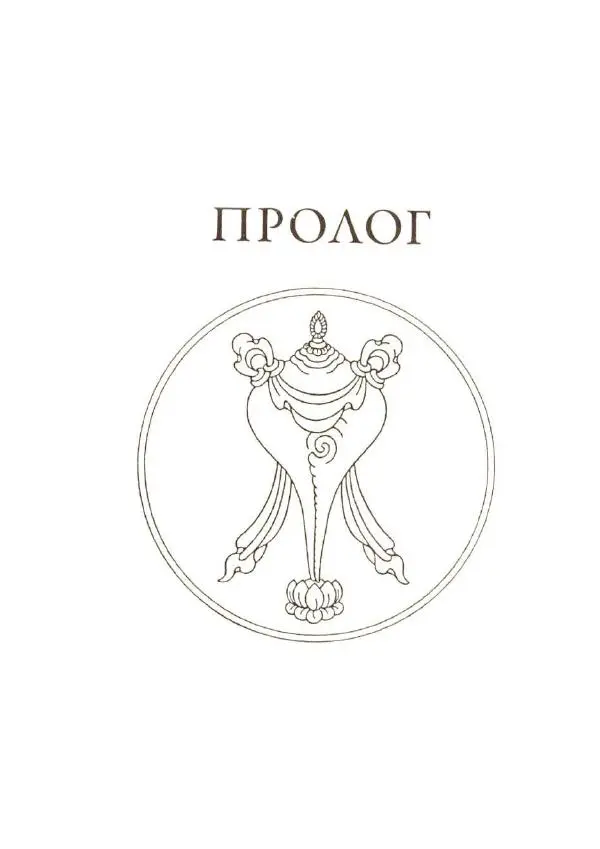 Б. Алан Уоллес - Революция внимания. Пробуждение силы сосредоточенного ума - Страница № 17
