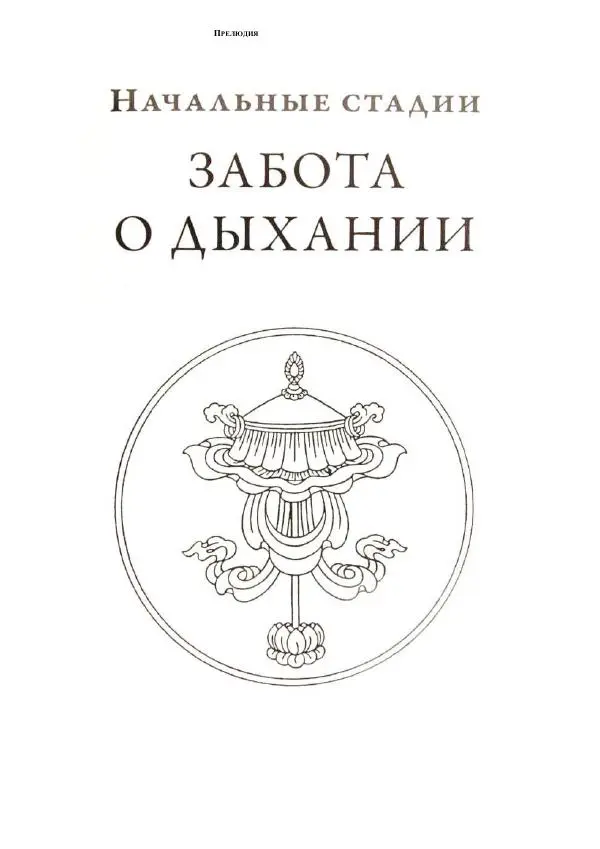 Б. Алан Уоллес - Революция внимания. Пробуждение силы сосредоточенного ума - Страница № 40