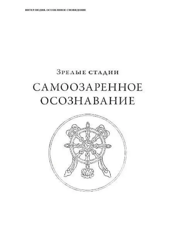 Б. Алан Уоллес - Революция внимания. Пробуждение силы сосредоточенного ума - Страница № 155
