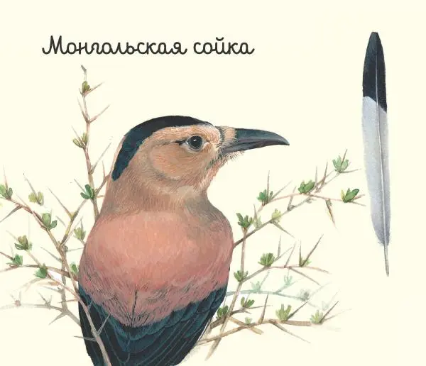 Владимир Бабенко - Ворона и её родственники - Страница № 25