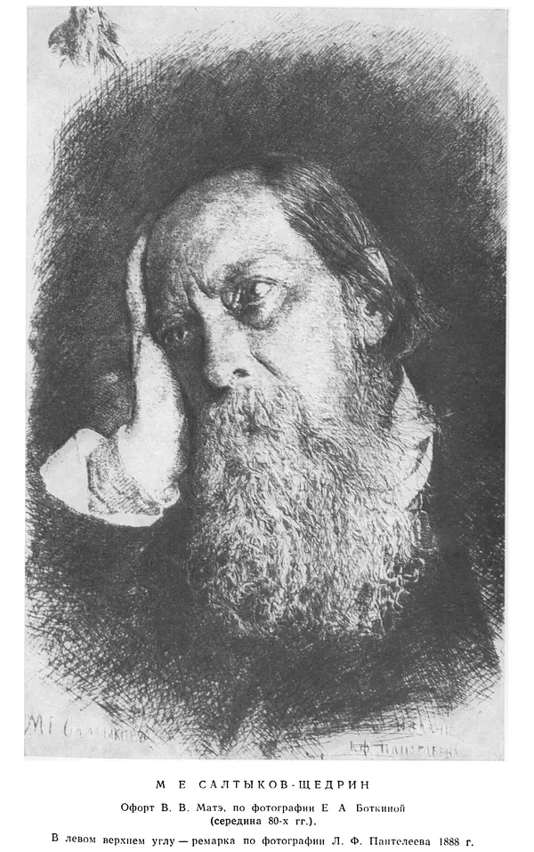 Михаил Салтыков-Щедрин - Собрание сочинений в 20 томах. Том 19.1 - Страница № 6